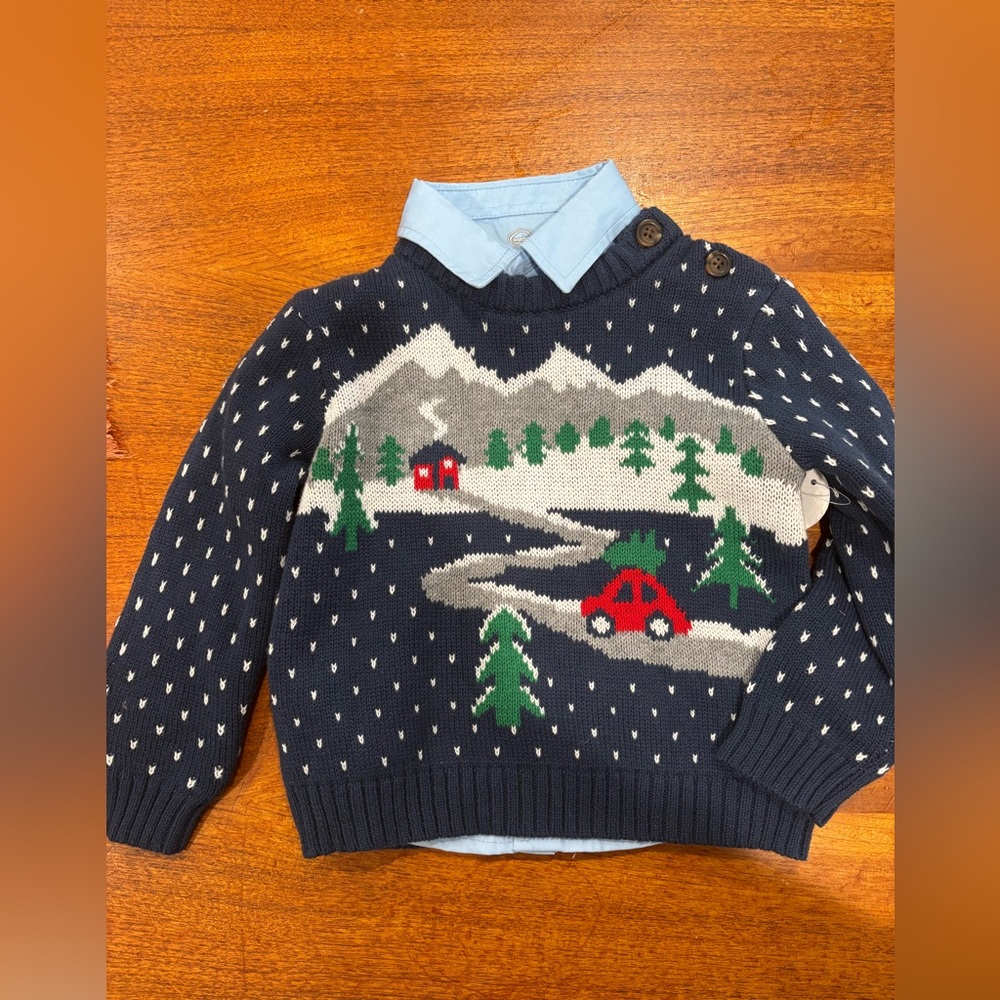 NWT Darling Winter Sweater